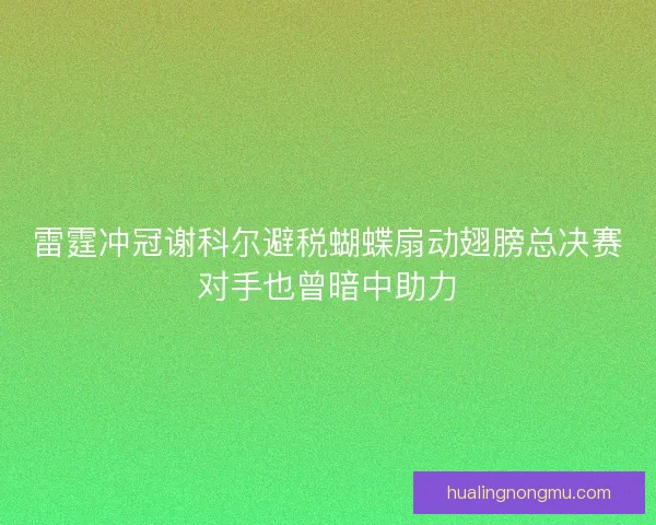 雷霆冲冠谢科尔避税蝴蝶扇动翅膀总决赛对手也曾暗中助力
