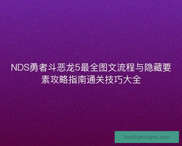NDS勇者斗恶龙5最全图文流程与隐藏要素攻略指南通关技巧大全