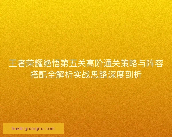 王者荣耀绝悟第五关高阶通关策略与阵容搭配全解析实战思路深度剖析