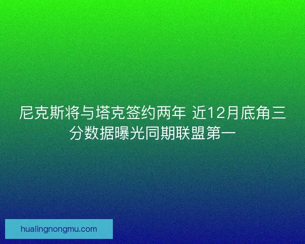尼克斯将与塔克签约两年 近12月底角三分数据曝光同期联盟第一