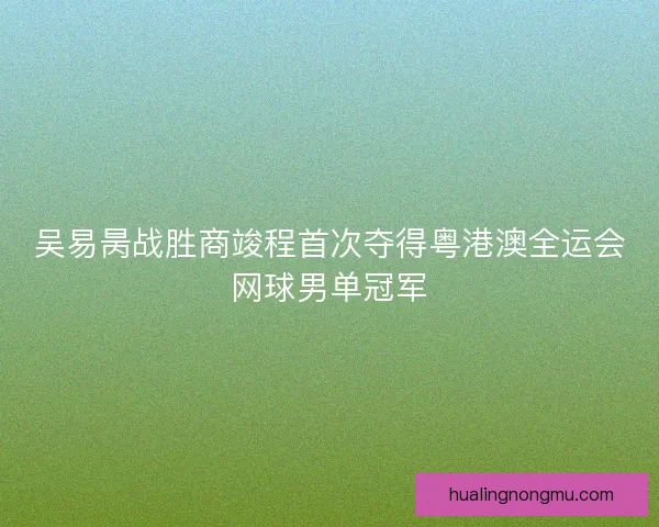 吴易昺战胜商竣程首次夺得粤港澳全运会网球男单冠军