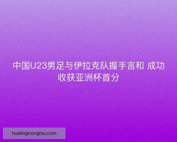 中国U23男足与伊拉克队握手言和 成功收获亚洲杯首分