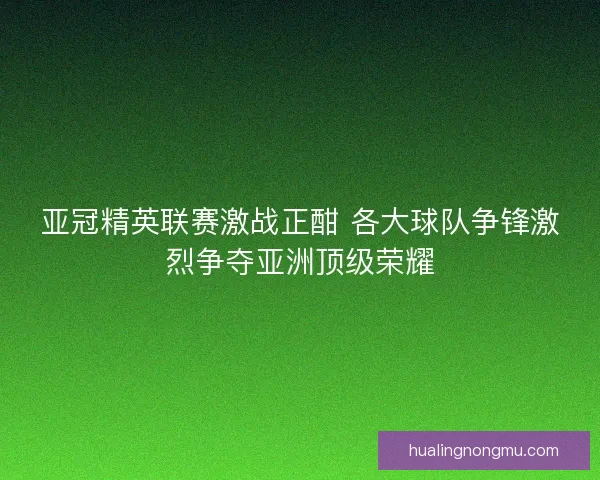亚冠精英联赛激战正酣 各大球队争锋激烈争夺亚洲顶级荣耀