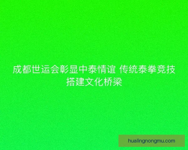 成都世运会彰显中泰情谊 传统泰拳竞技搭建文化桥梁
