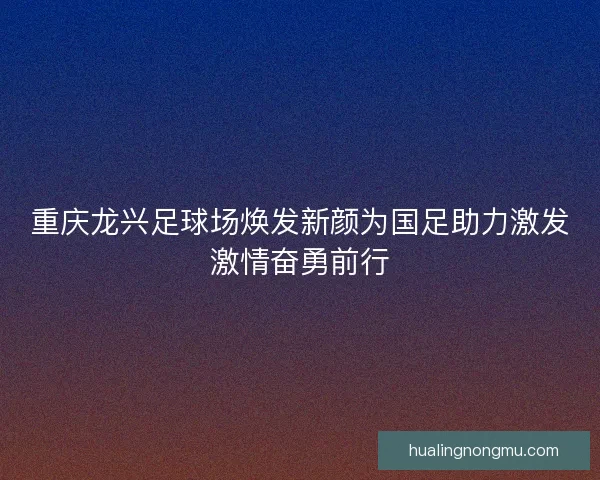 重庆龙兴足球场焕发新颜为国足助力激发激情奋勇前行