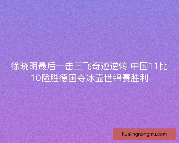 徐晓明最后一击三飞奇迹逆转 中国11比10险胜德国夺冰壶世锦赛胜利